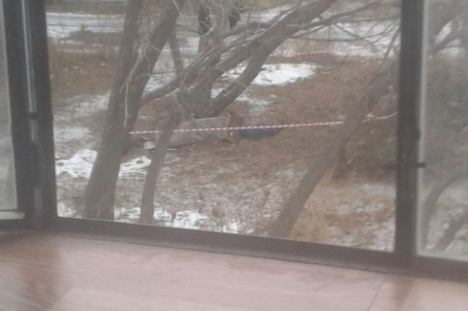Жители поселка Рябково в Курганской области 13 ноября утром заметили под своими окнами труп человека